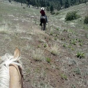 Meet your Posher, Jay